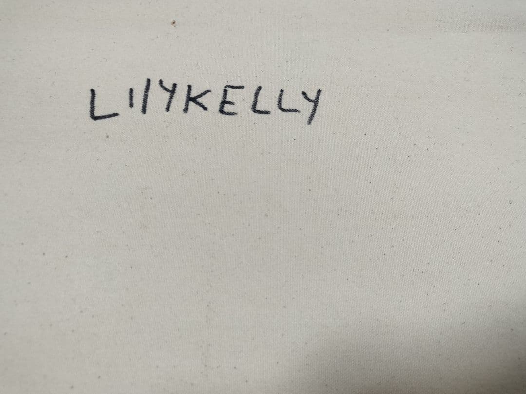 Lily Kelly作 アボリジニアート