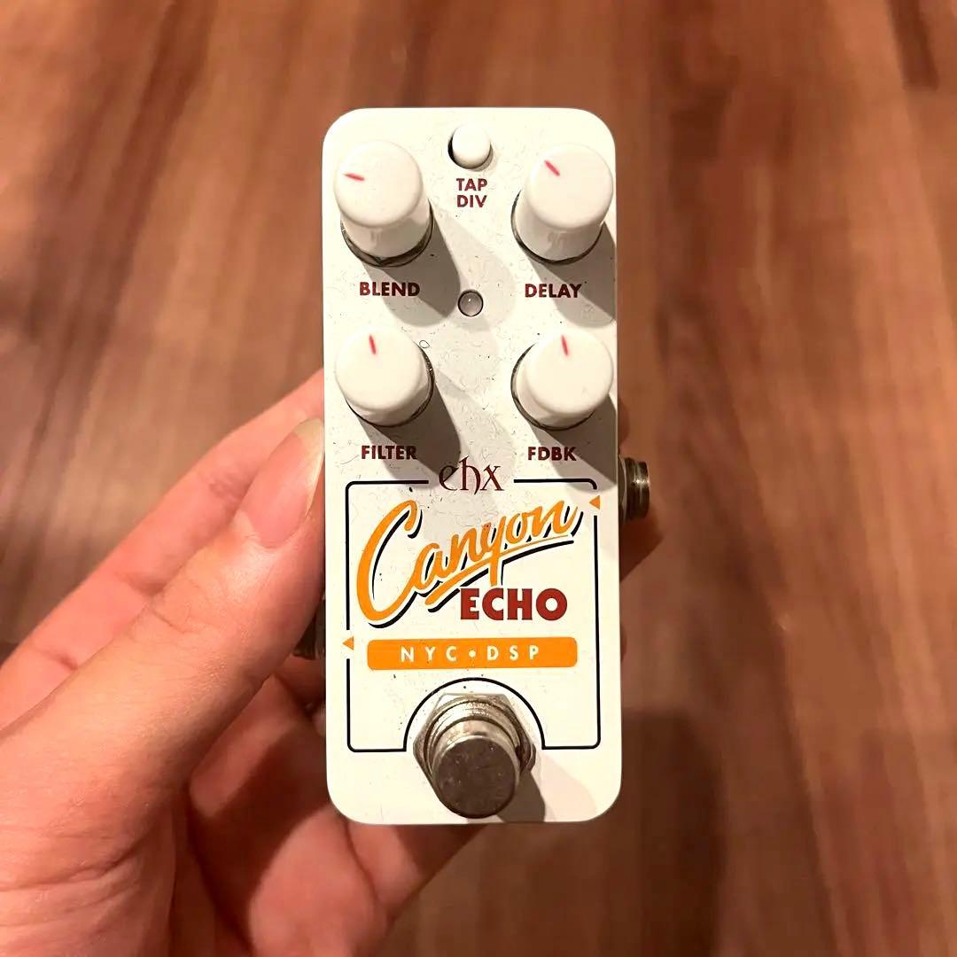 ギター Electro Harmonix Pico Canyon echo