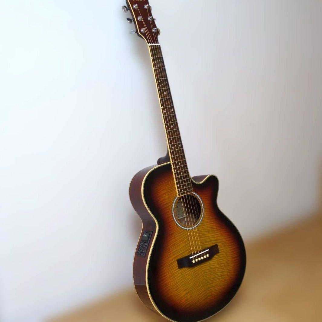 Pro Martin EA500W VS エレアコ