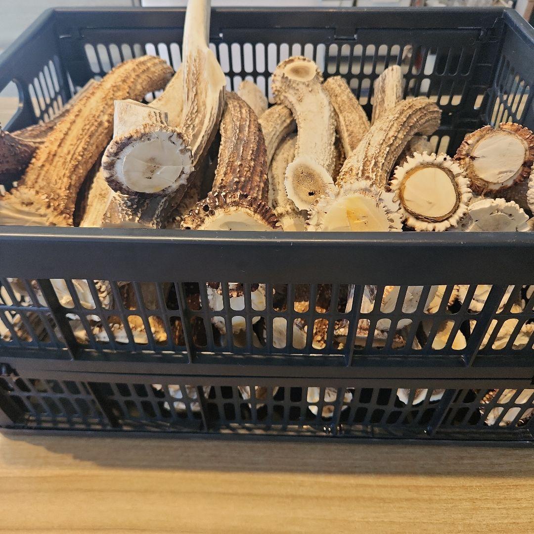 鹿の角 (特大～大サイズ)犬用おもちゃ ランダム　10kg