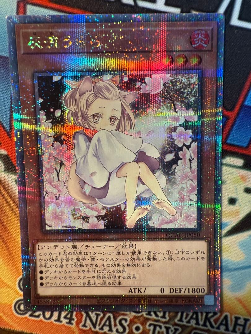 遊戯王　灰流うらら　25thシークレットレア　絵違い