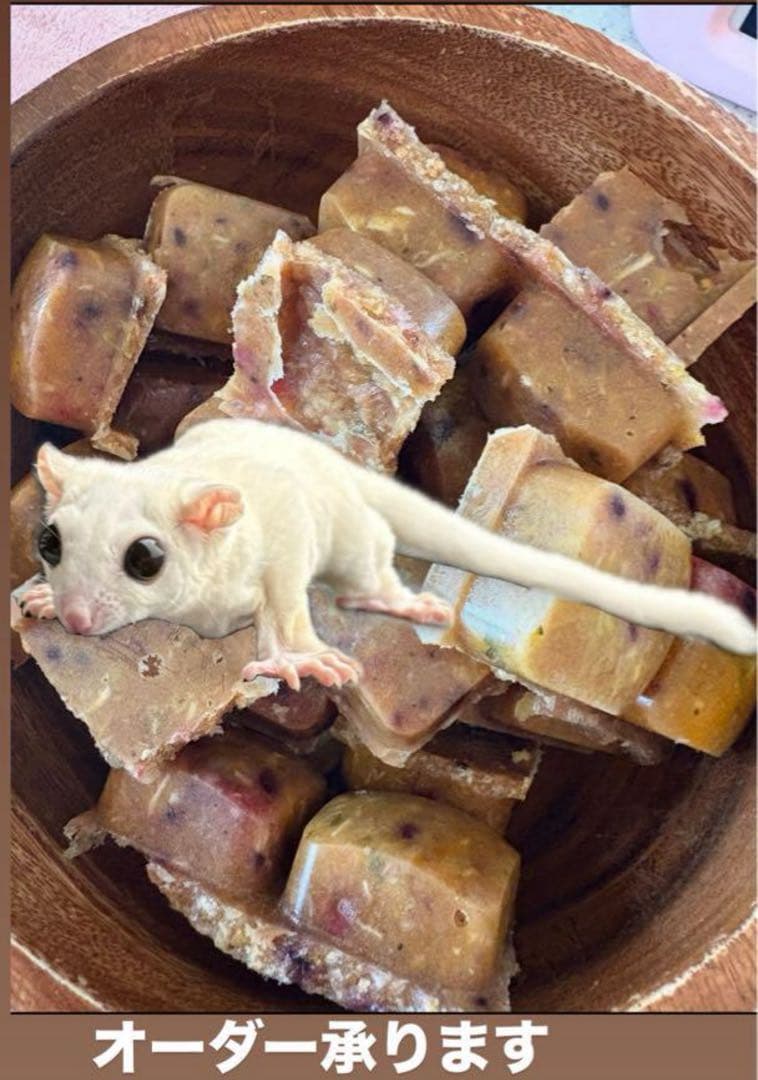 フクロモモンガ　ペロ飯