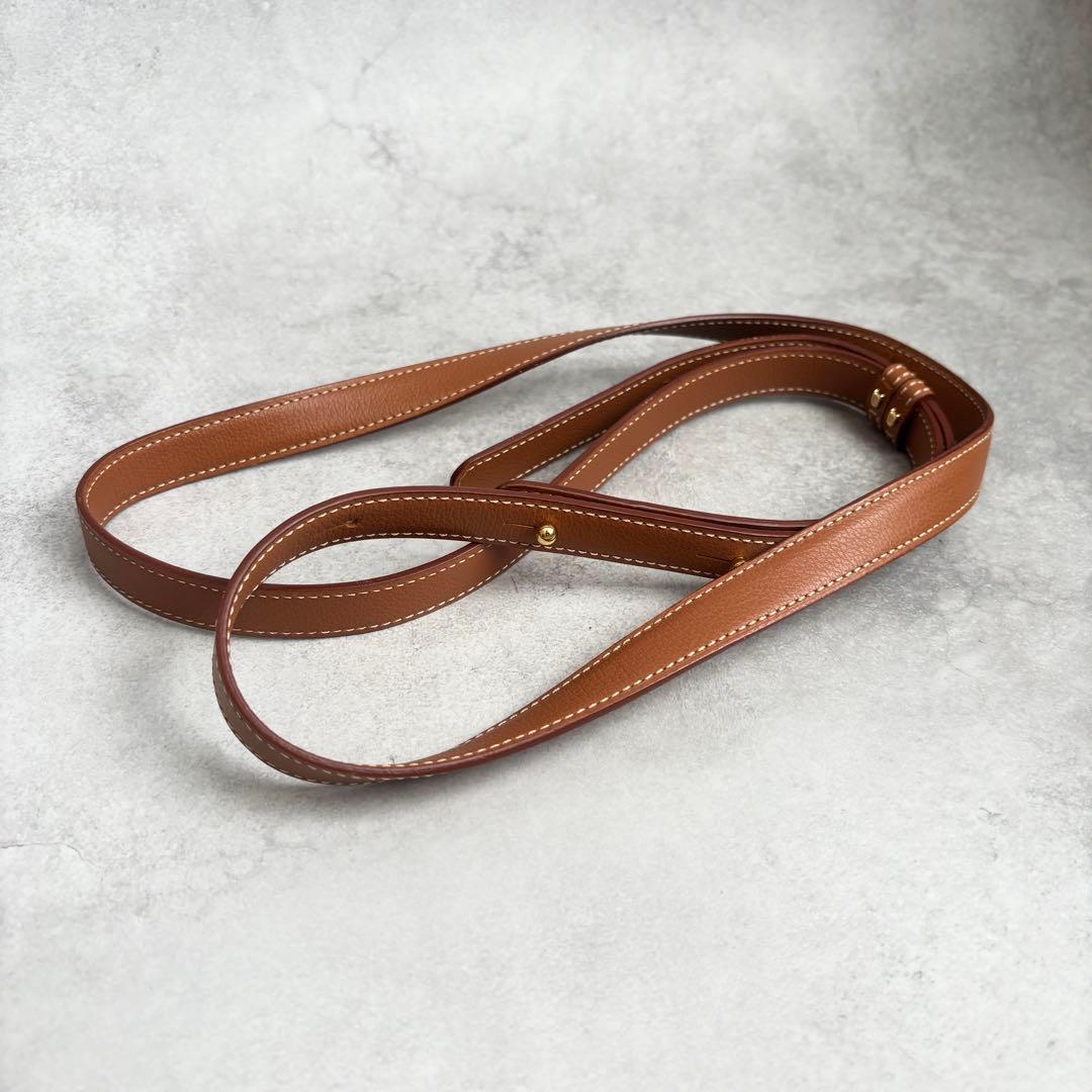 値下げ済み!DELVAUX ブリヨンMM 2way ハンドバッグ ストラップ付き