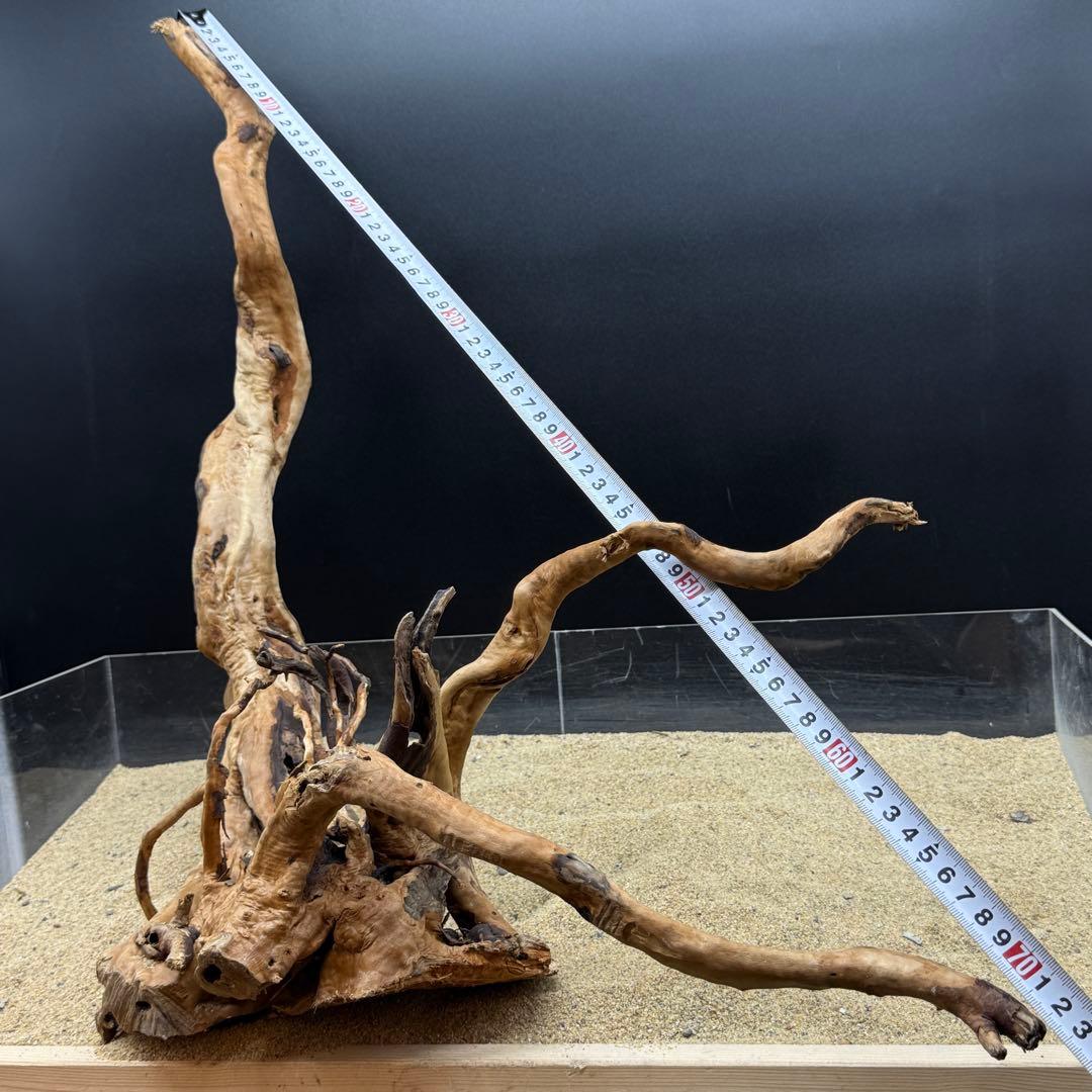 MDW-6908 特大ブランチウッド　流木　枝流木　アクアリウム