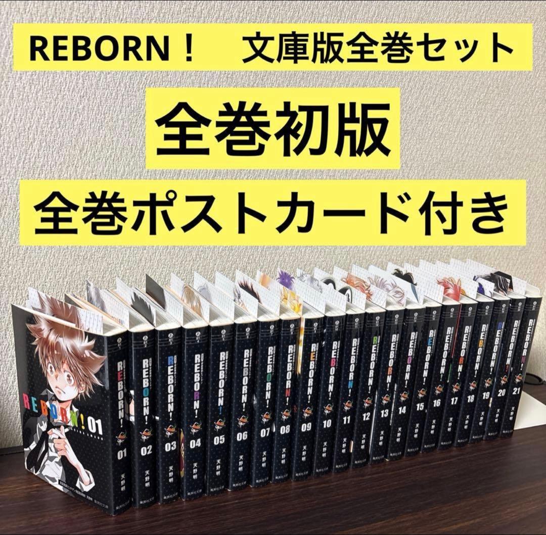 家庭教師(かてきょー)ヒットマンREBORN! 文庫版　全巻初版　ポストカード