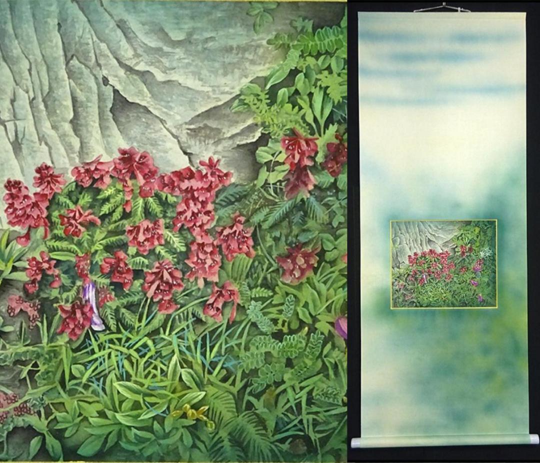 掛軸 若舟『山草図 タカネシオガマ』日本画手描き表装 絹本 箱付 a062811