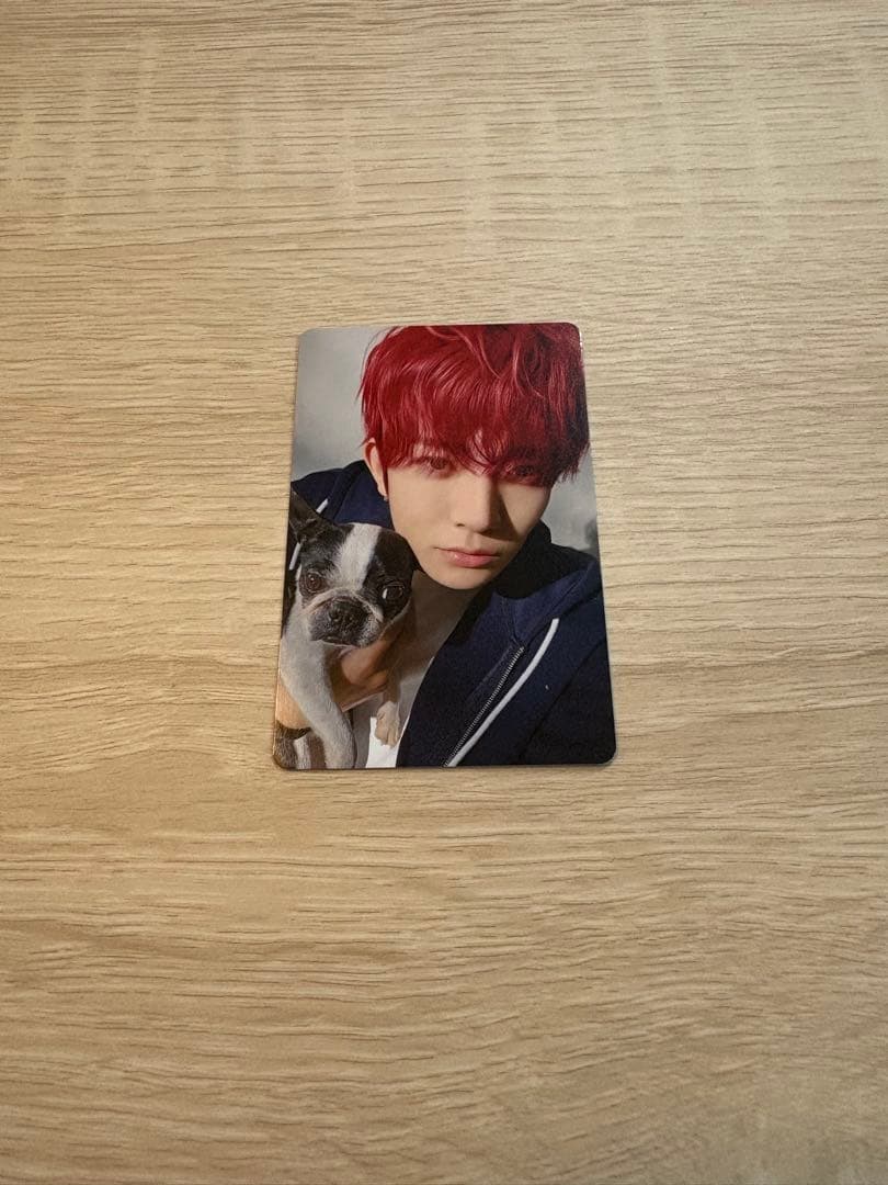 ENHYPEN アンケートトレカ2025