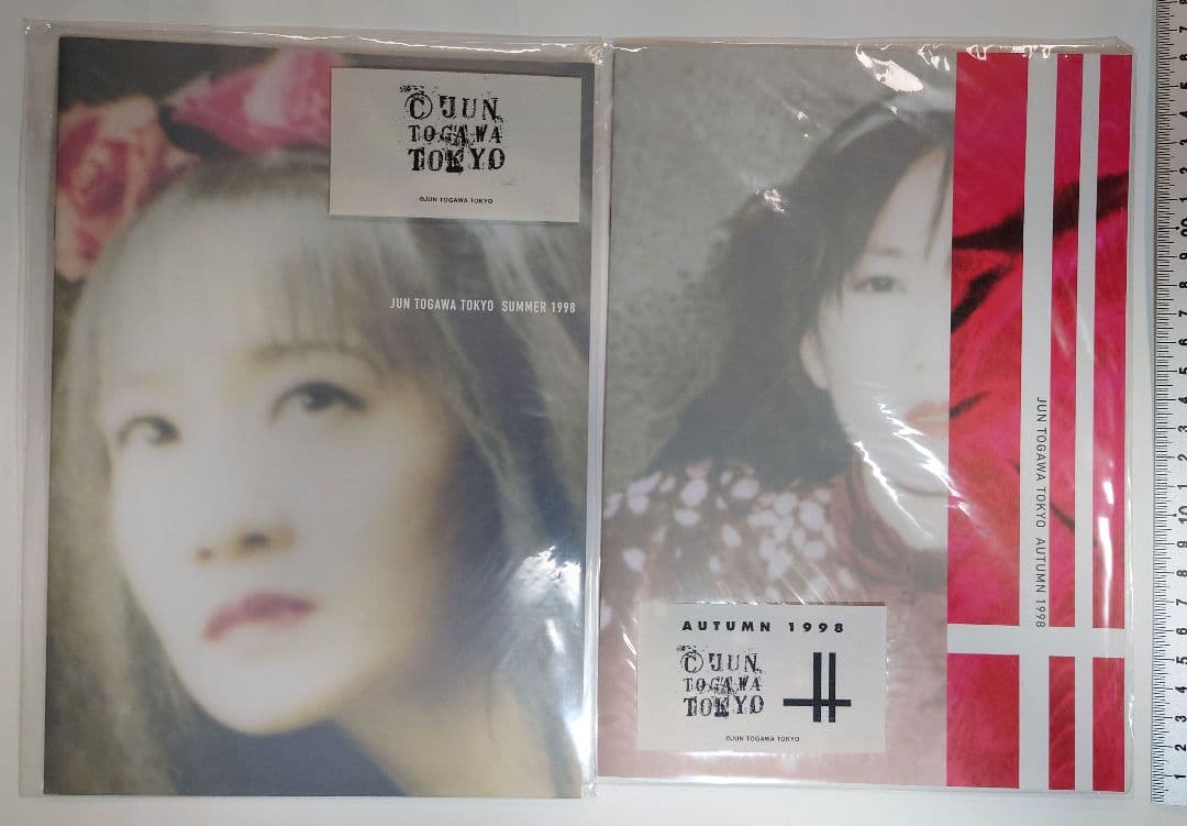 戸川純＆Yapoos 音楽ファッション関連パンフ：Fanzine：カタログ+α