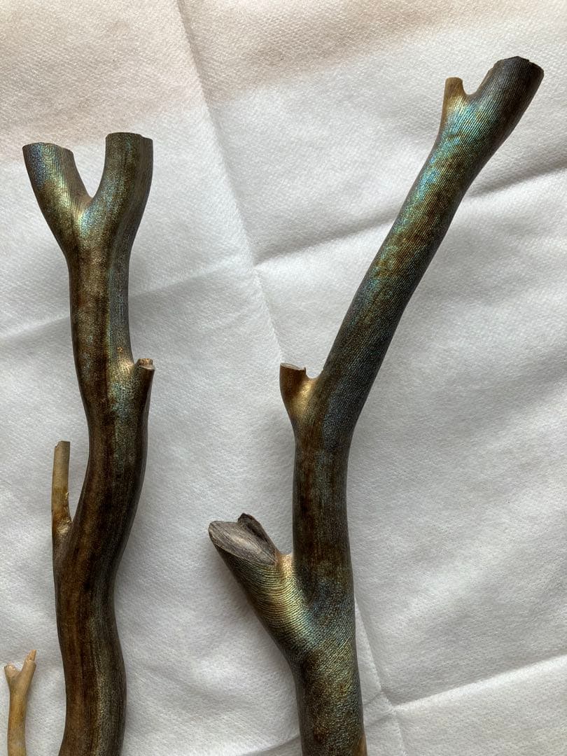 【最高級品】レインボーコーラル、深海松