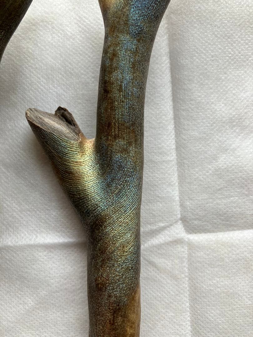 【最高級品】レインボーコーラル、深海松