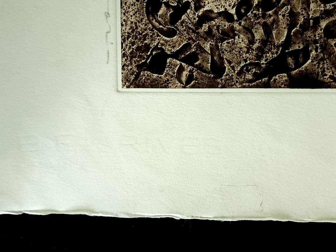 一原有徳　銅版画　EP 1978年 [DEN (2)] 59㎝x44.5cm