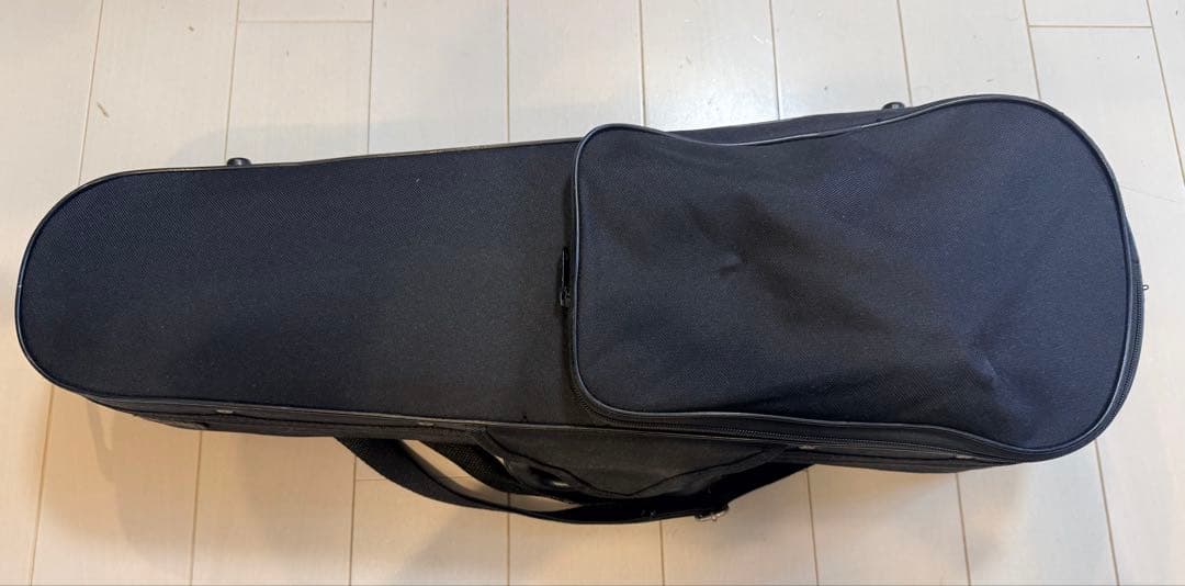 Carlo Giordano バイオリンセット 1/4 VS1