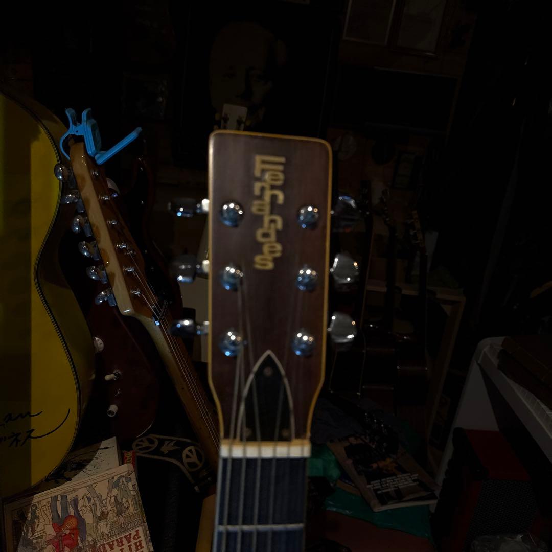 Fernand esアコースティックギター ドレッドノート