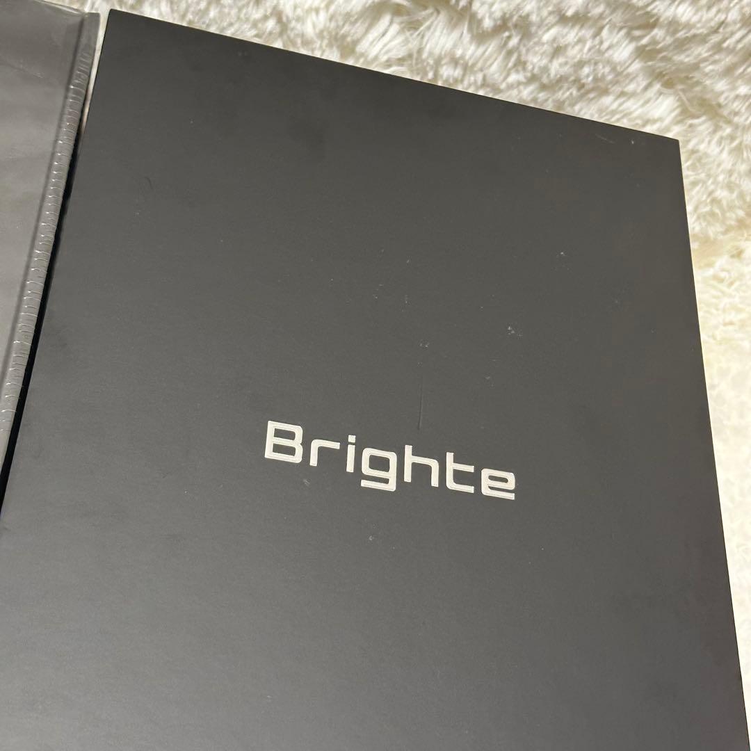 未使用Brighte SHOWER DRYER ブライト ドライヤー　スタンド