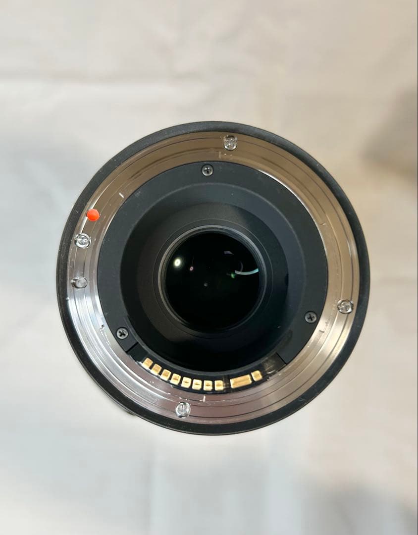 Canon EF用 SIGMA 100-400mm F5-6.3 DG