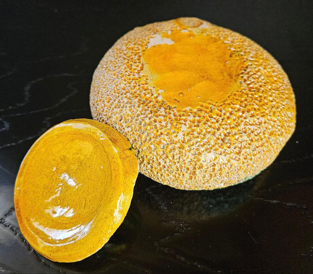 【千家十職】永楽善五郎　造　柚(ゆず)蓋物　香炉　共箱　共布　茶道具　茶器