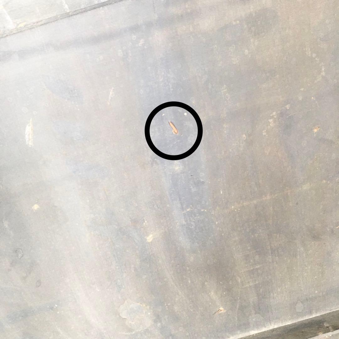 ☆レア看板☆サラヌミルク デリゴール 王乳粉 代理店マルチ薬局 レトロ