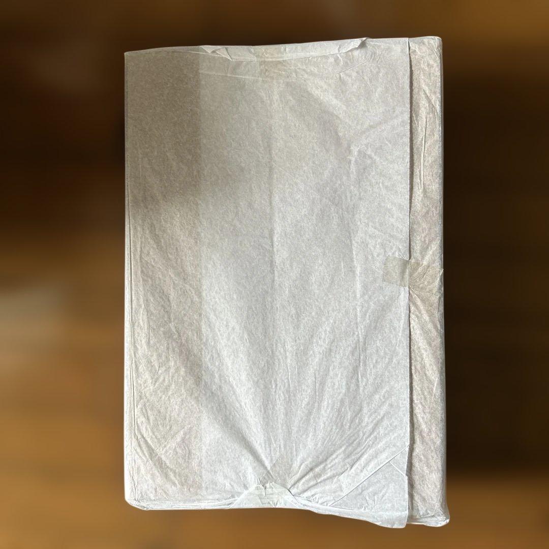 造形村 1/32 Ta152H1-1 スーパウィングシリーズ No.2