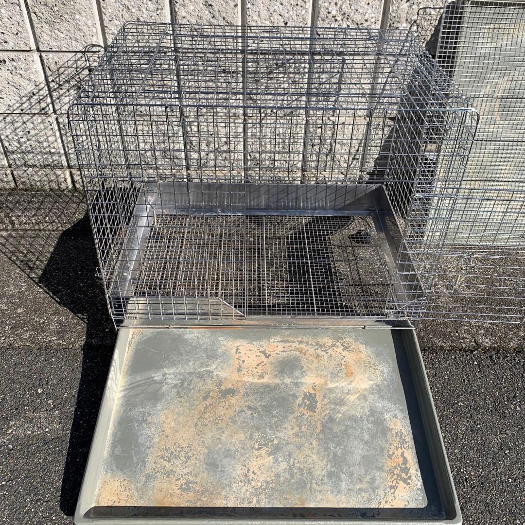 うさぎのしっぽ　オリジナル　プロケージ80