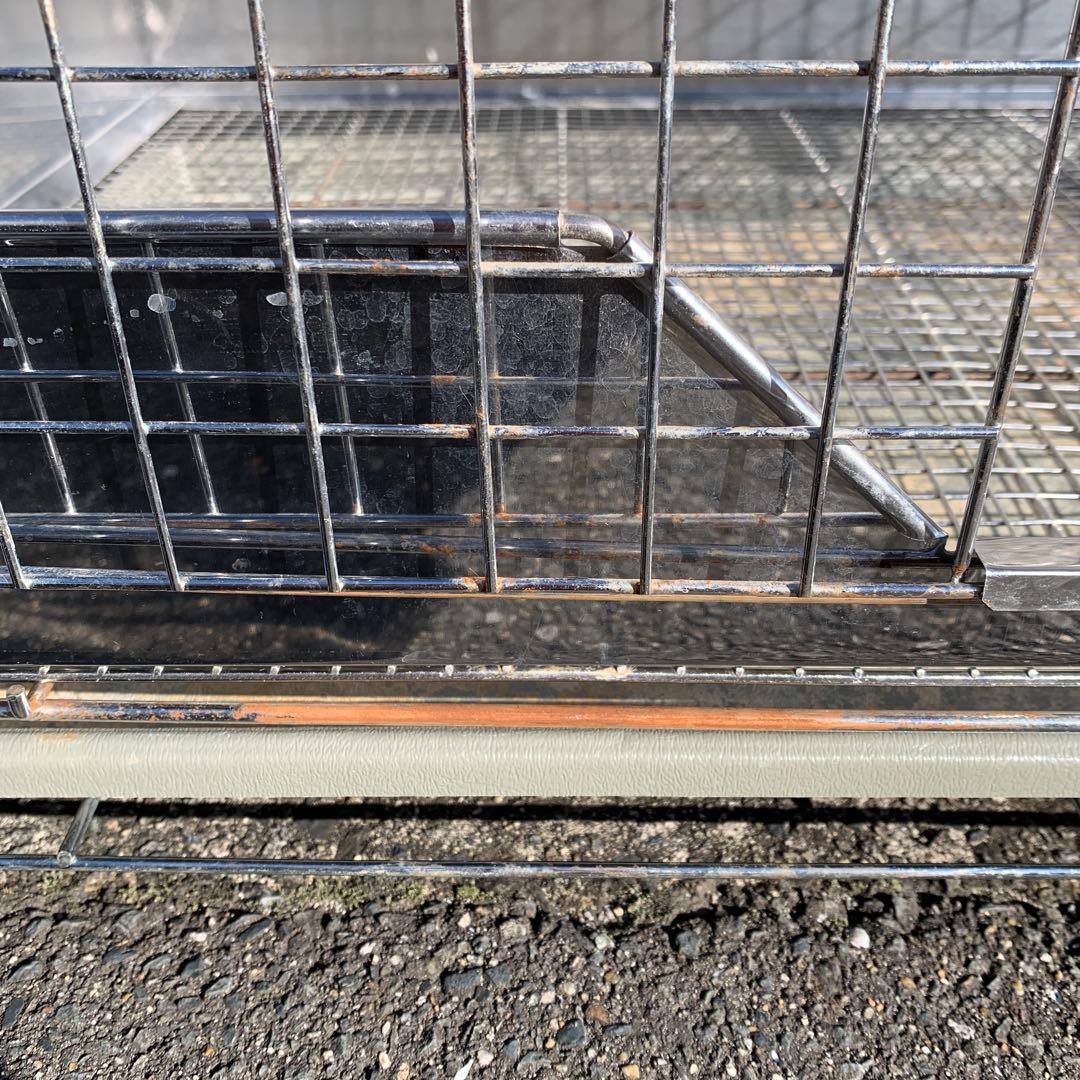 うさぎのしっぽ　オリジナル　プロケージ80