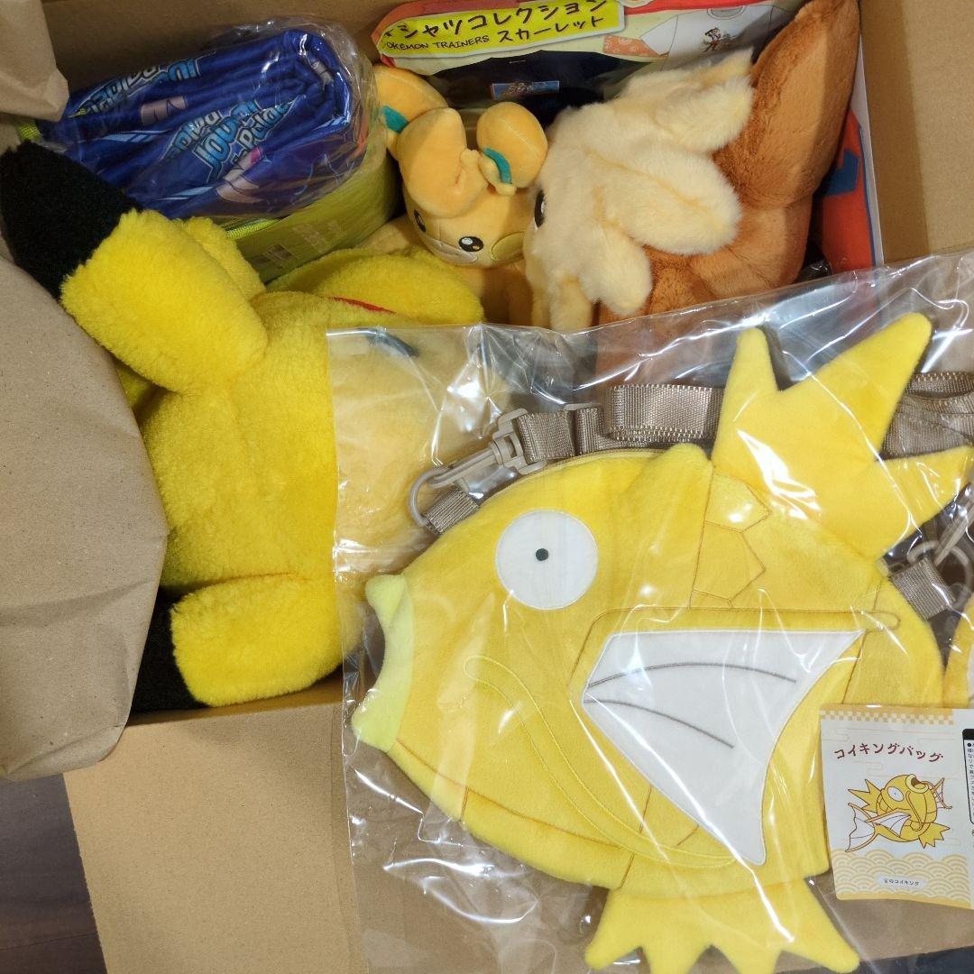 2026年ポケモン福袋 【金コイキング】【イーブイ】大当り