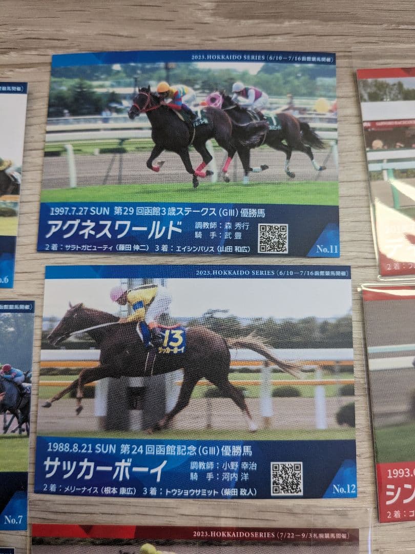 函館競馬場 札幌競馬場 メモリアル カード 26枚 競馬 競走馬 ウマ娘 グッズ
