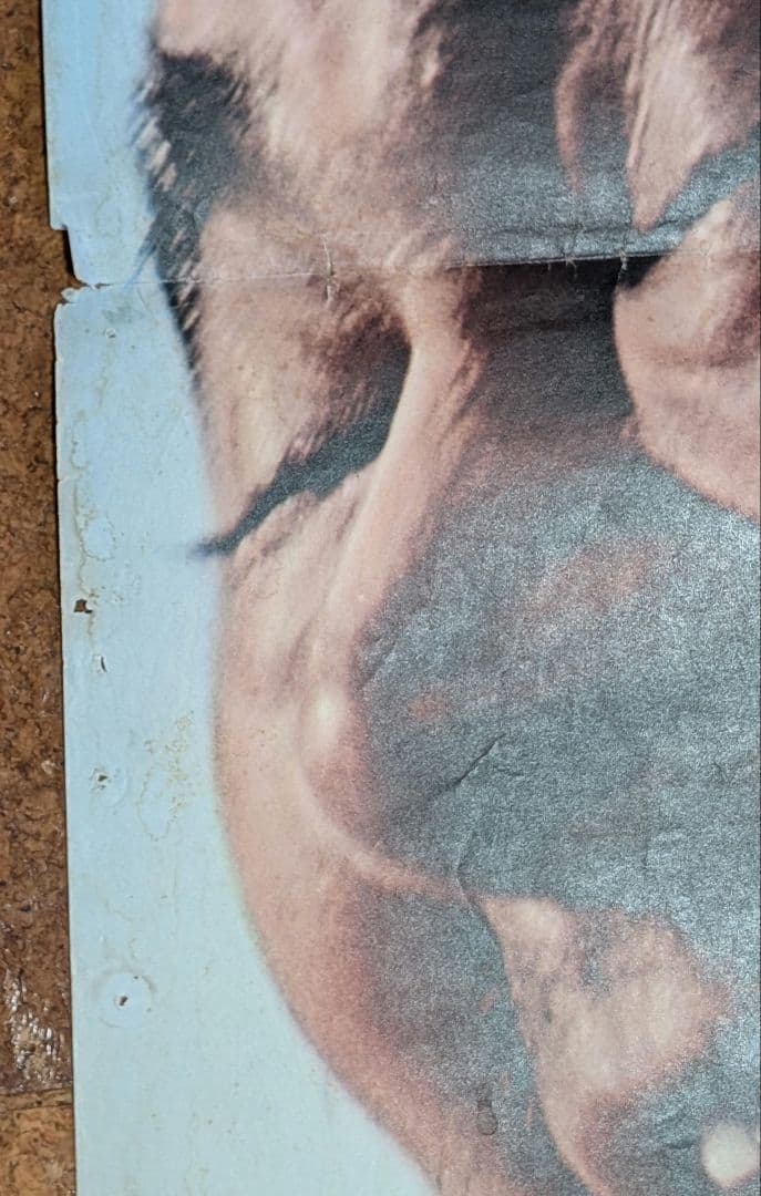 東宝『新座頭市物語 笠間の血祭り』オリジナル劇場公開版ポスター（非売品）