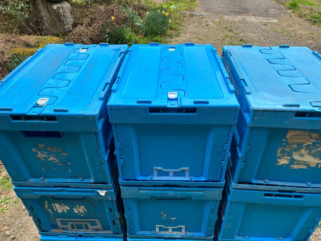 青いプラスチック収納ボックス 折りたたみコンテナ　オリコン　12個セット