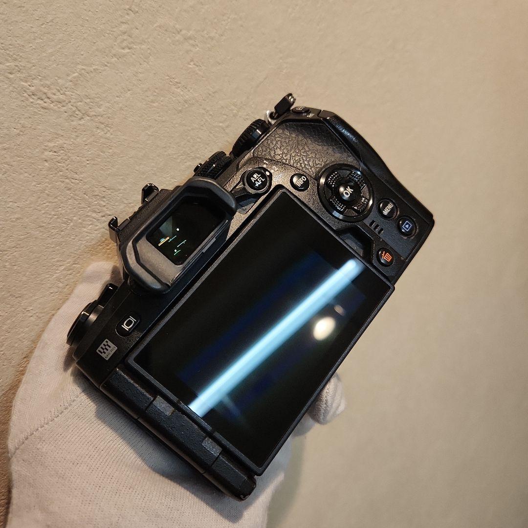 OLYMPUS OM-D E-M1 Mark II ボディ 付属品