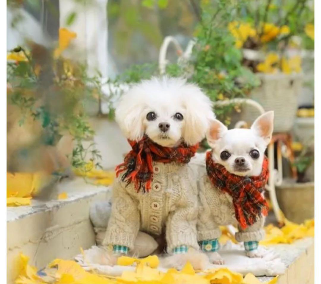 bluebleubleue アランニットカーディガン