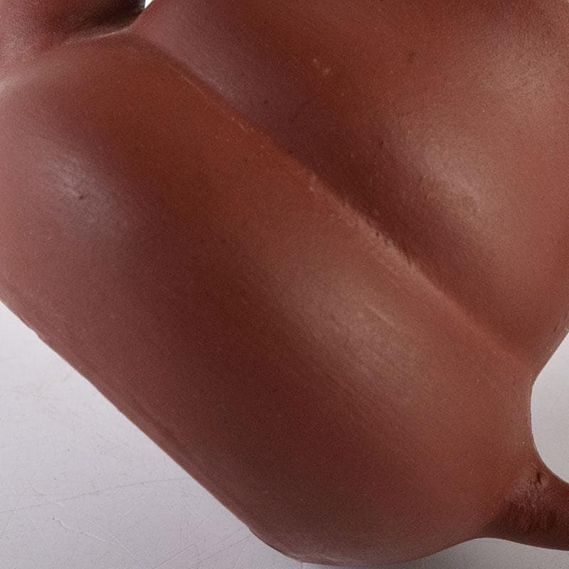 中国　紫砂　朱泥　小さな急須　茶壷　在銘　C　R7935