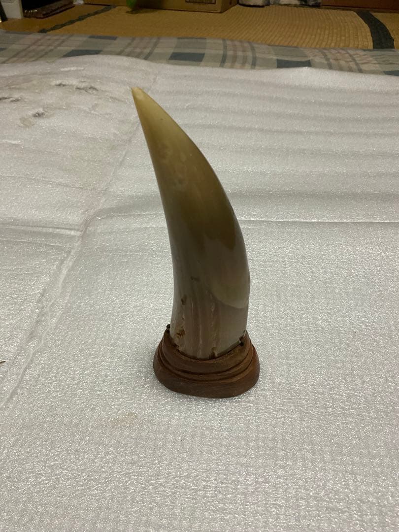 水牛の角の彫物　置物。台座は木製。【角にはドラゴンが彫られております】。