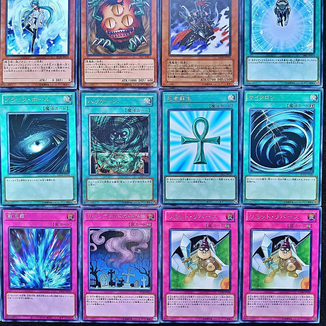 No.894 1103環境 ジャンド　デブリダンディ デッキ ゲートボール