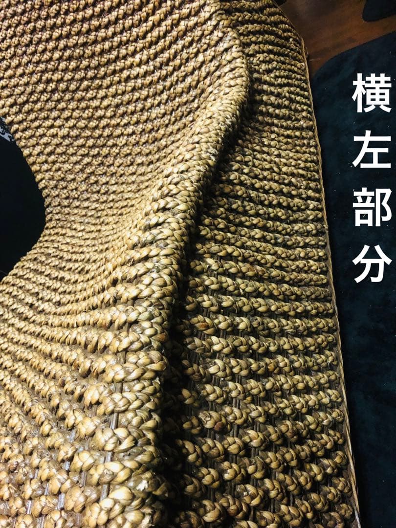 超稀少♦️ウォーターヒヤシンス♦️最高級リゾート　サンベット♦️シェーズロング♦️送料込