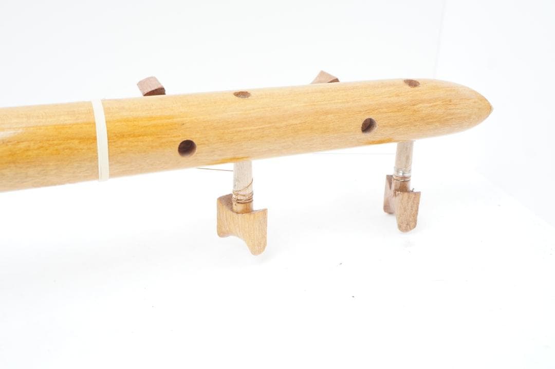 セタール　弦楽器　アジア　民族　リュート系