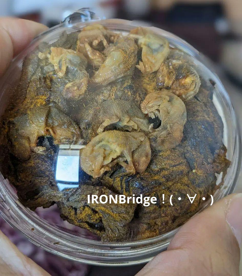 【マジモノ…】動物の〇ちゃんを素材としたプラクルアン？呪物？すごい金運＆幸運…