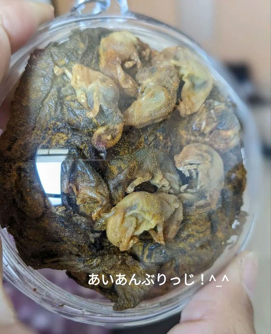 【マジモノ…】動物の〇ちゃんを素材としたプラクルアン？呪物？すごい金運＆幸運…