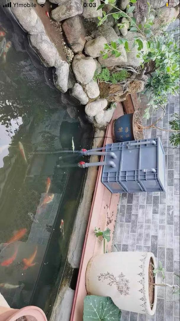 大型水槽用沈殿物理生物一体型濾過槽　外部式濾過装置器水槽濾過バイオフィルター付き