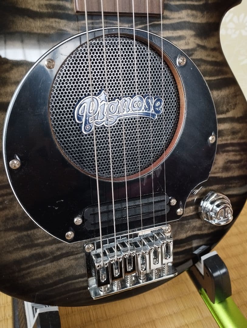 ピグノーズ　ＰＧＧ２００FM（SBK）