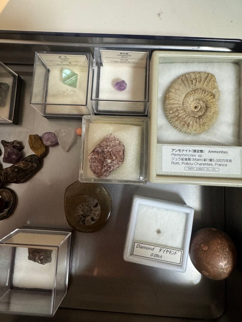 天然石・化石コレクション　まとめ売り