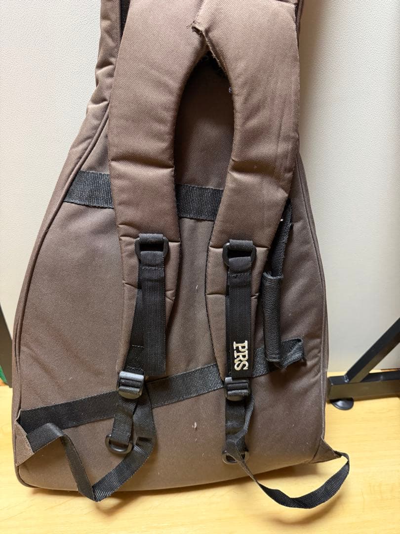 PRS SE custum24 グリーン　ソフトケース付き