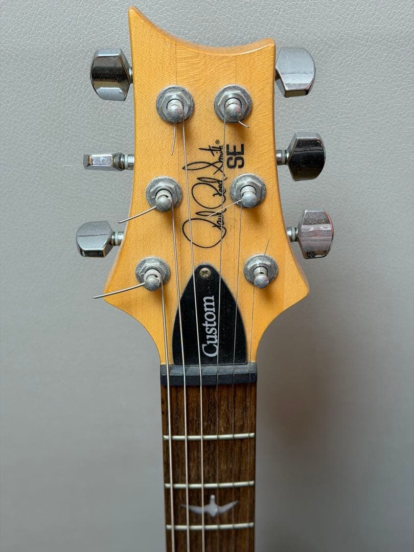 PRS SE custum24 グリーン　ソフトケース付き