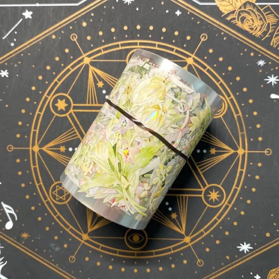 【9286】海外　マステ　中古巻　貝殻光マスキングテープ　装飾系　緑黄