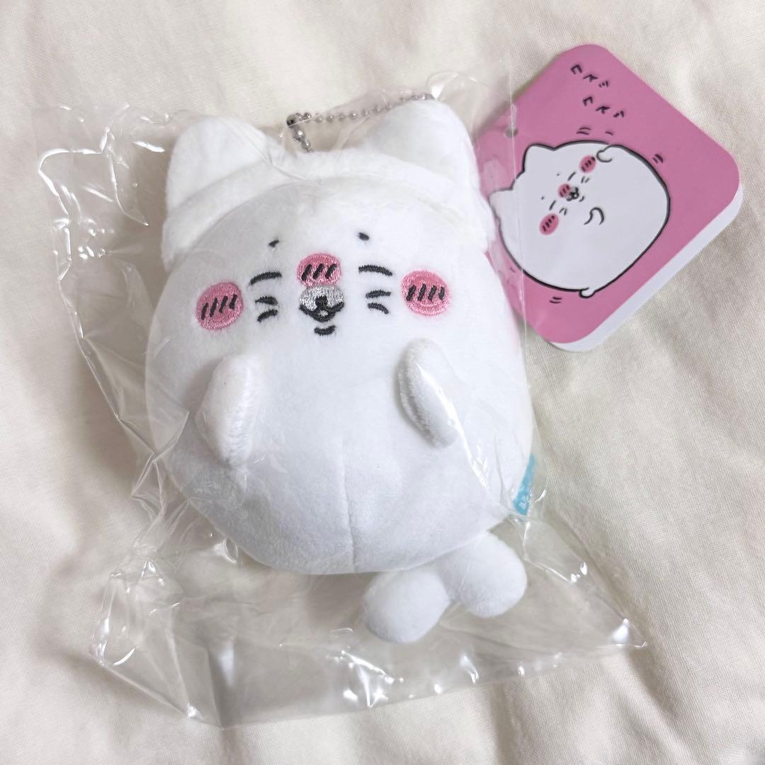 新品ナガノ水族館 アザラシぬいぐるみくじ ねこ【期間限定セール中！】