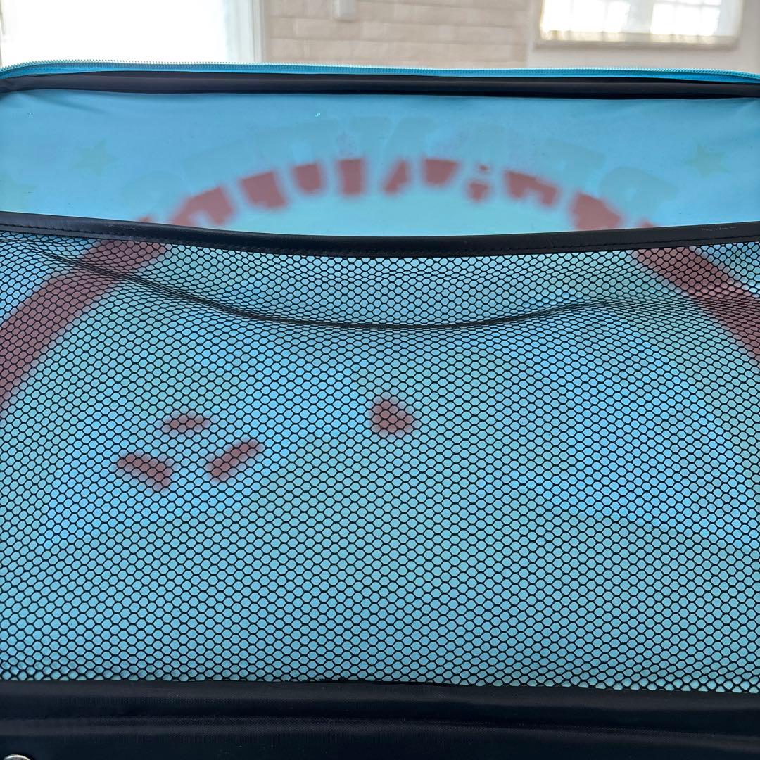 PEANUTS スヌーピー バッグ ビンテージ