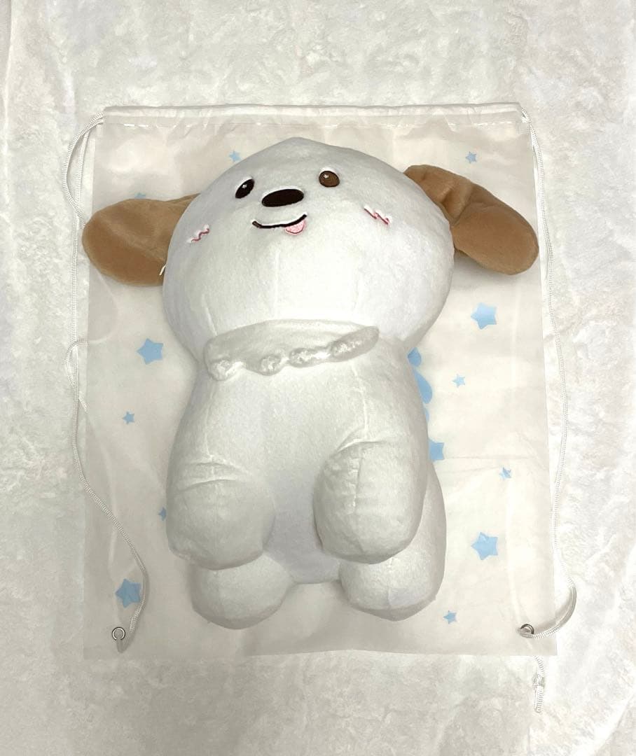 RIIZE - 40CM DOLL モンリョンイ