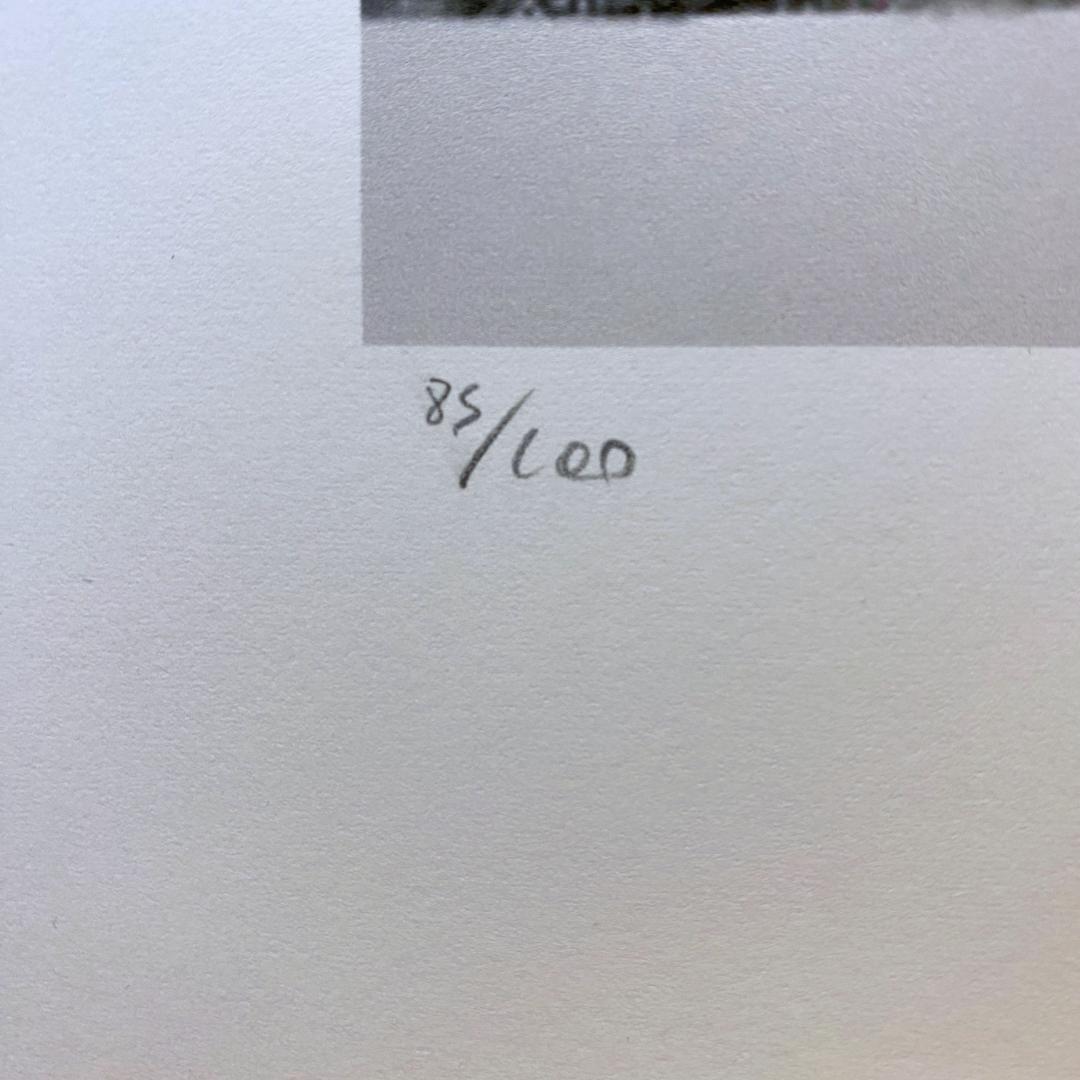 【模写】世界限定100枚! アンディ・ウォーホル ミック・ジャガー リトグラフ