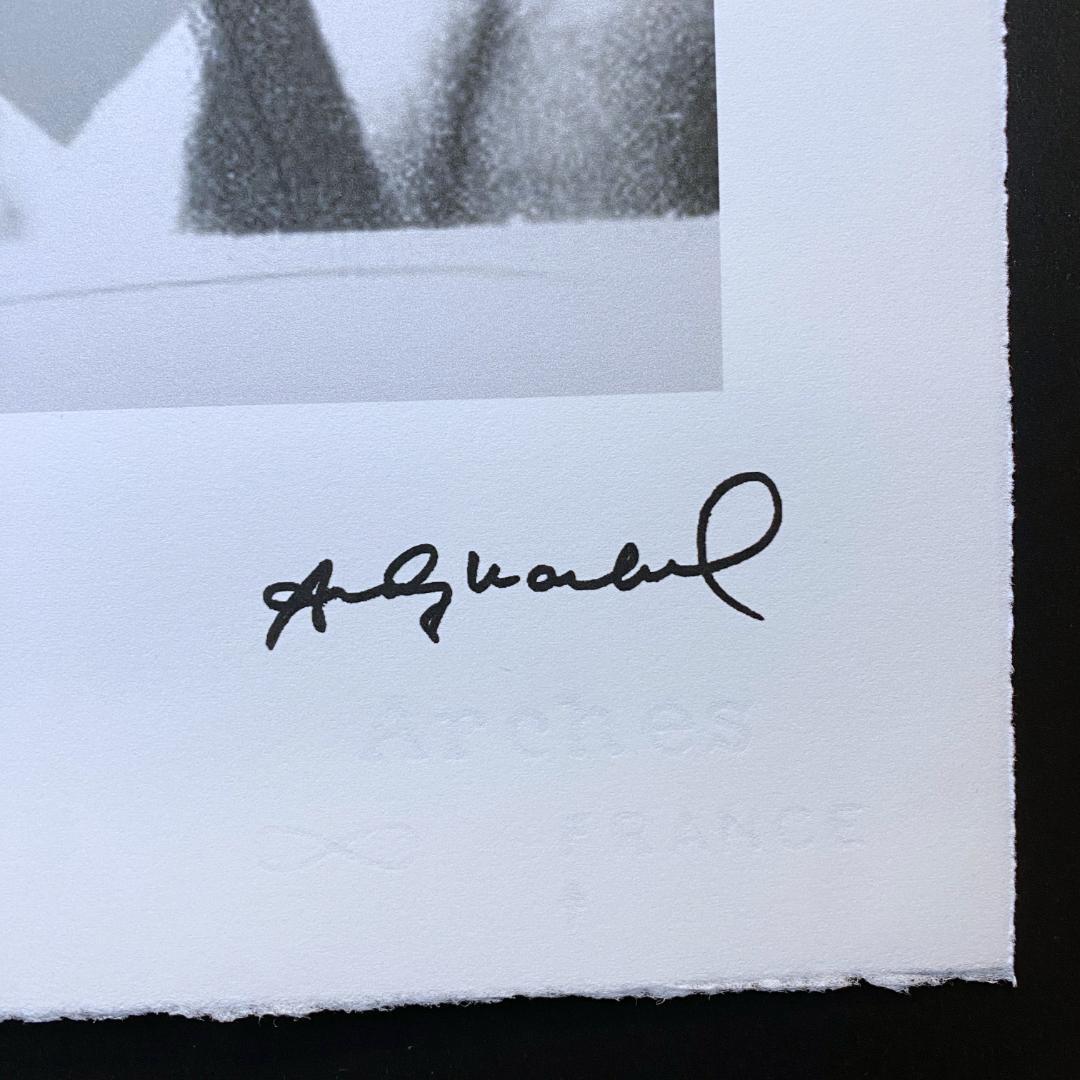 【模写】世界限定100枚! アンディ・ウォーホル ミック・ジャガー リトグラフ