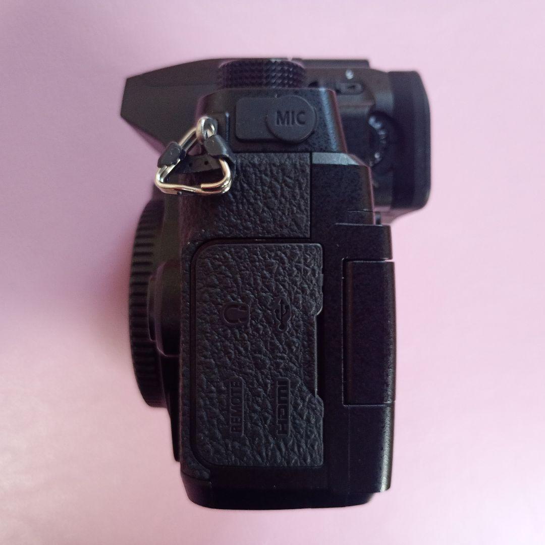 【中古美品】LUMIX G99D ボデイ（シャッター6829回）