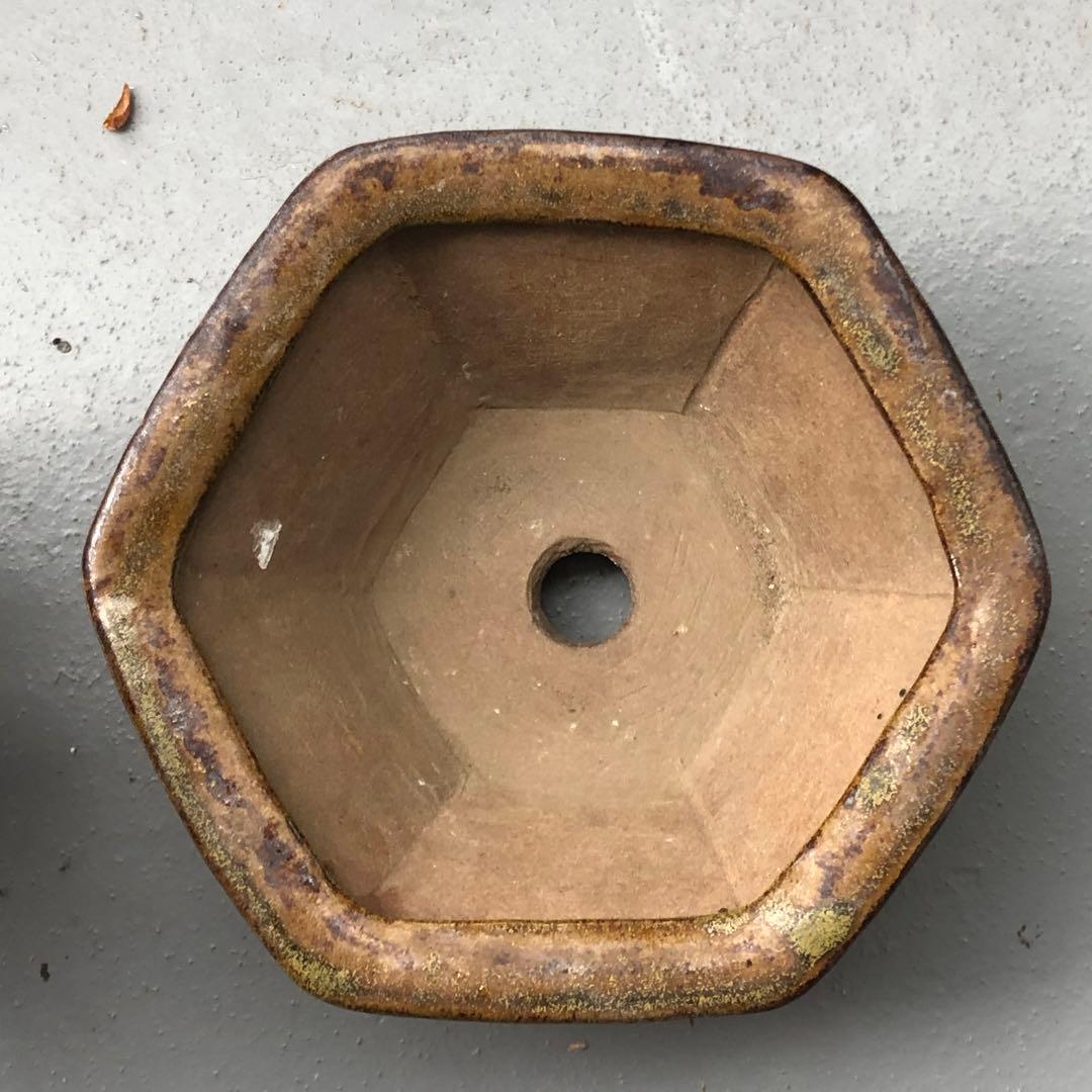 350.荞麦釉飾足六角鉢 盆栽鉢 植木鉢 14*15*5cm